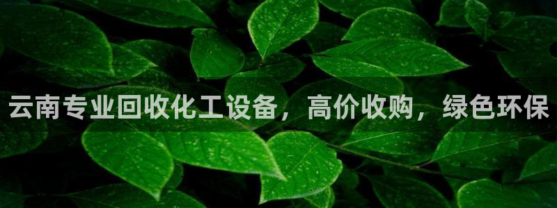 新航娱乐属于什么级别